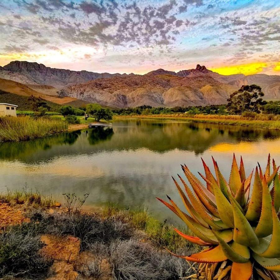 Oaksrest Vineyards Guest Farm Hotel Ladismith Buitenkant foto