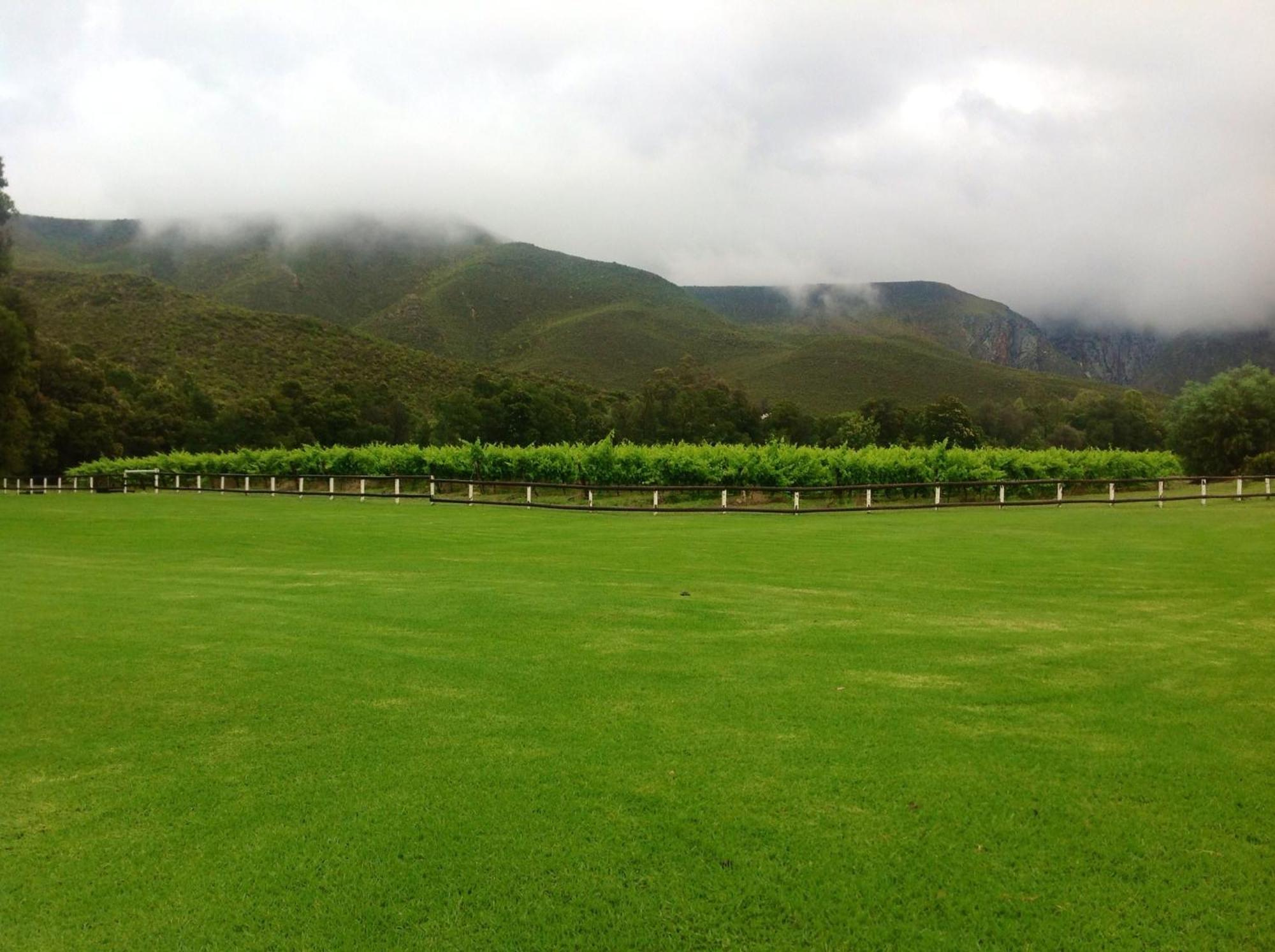 Oaksrest Vineyards Guest Farm Hotel Ladismith Buitenkant foto