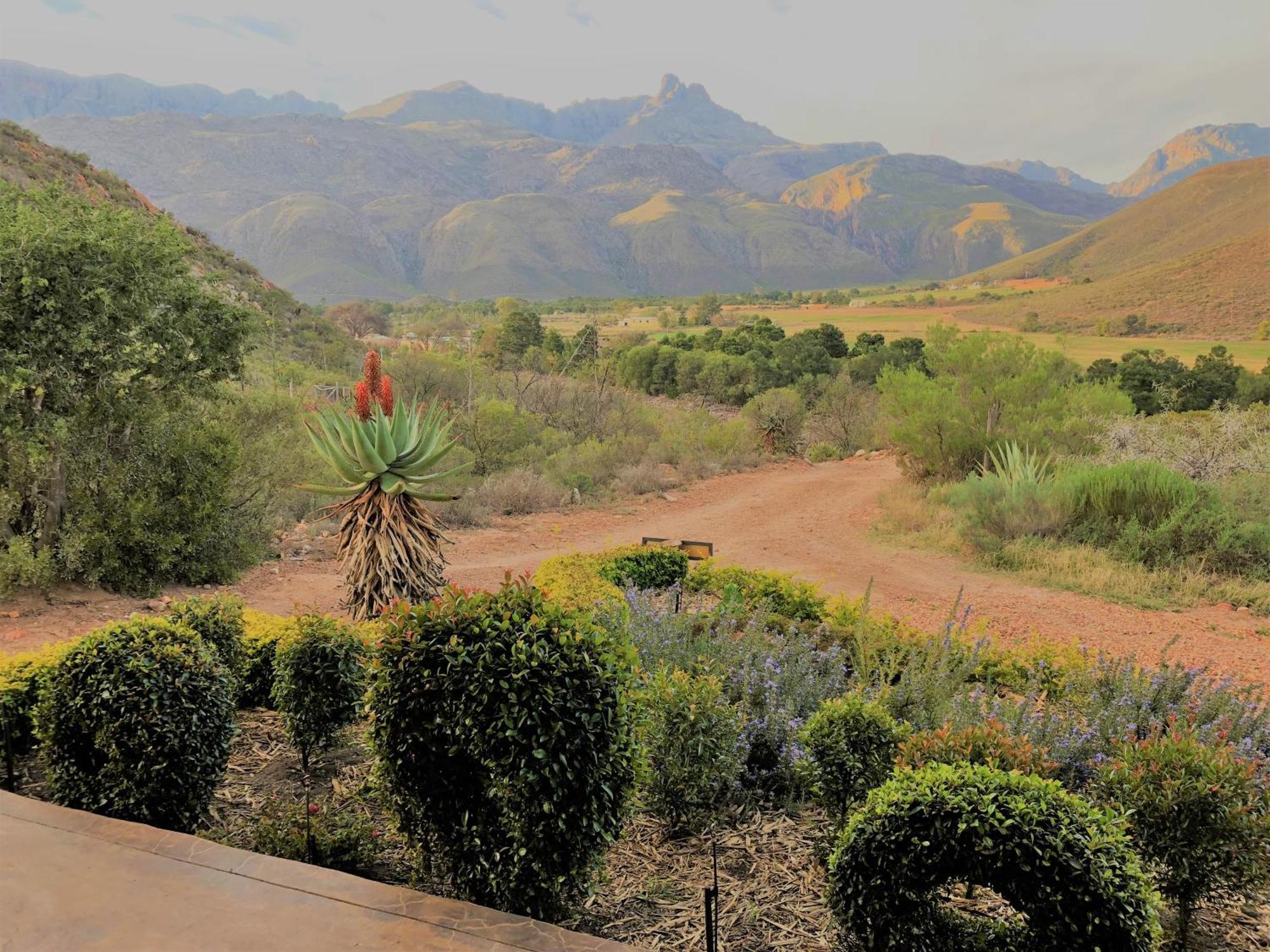 Oaksrest Vineyards Guest Farm Hotel Ladismith Buitenkant foto
