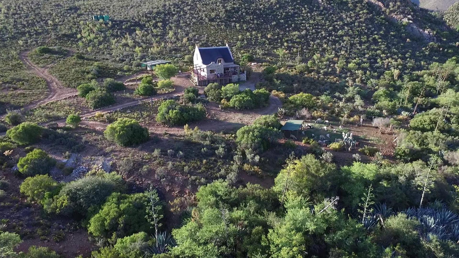 Oaksrest Vineyards Guest Farm Hotel Ladismith Buitenkant foto
