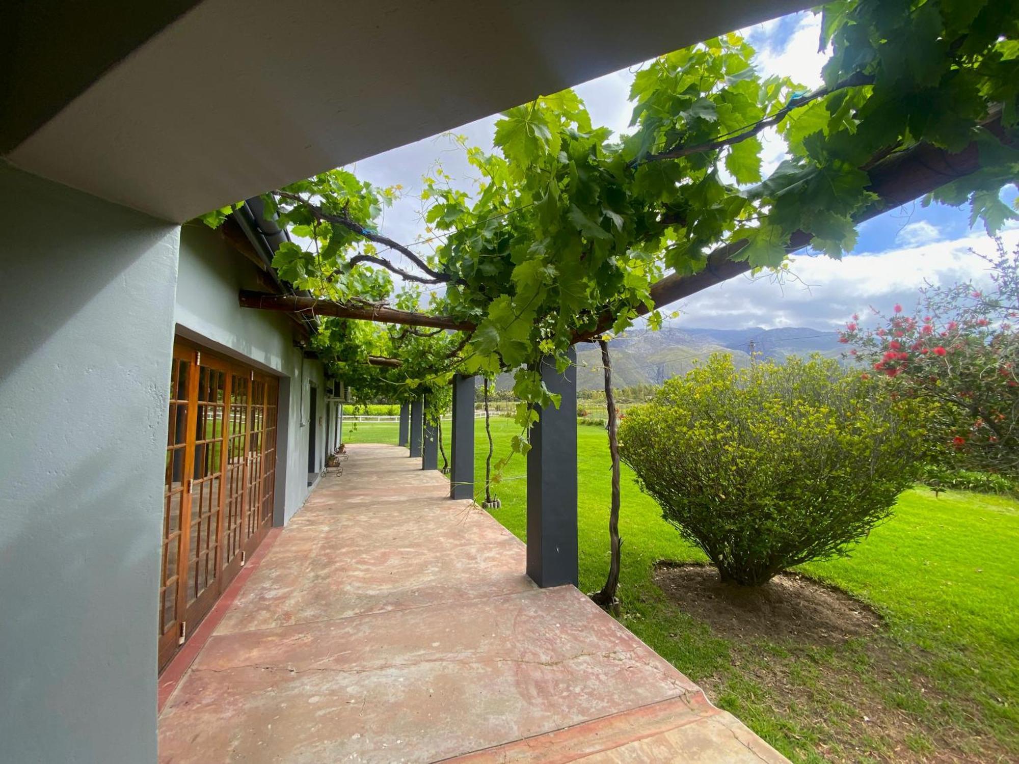 Oaksrest Vineyards Guest Farm Hotel Ladismith Buitenkant foto
