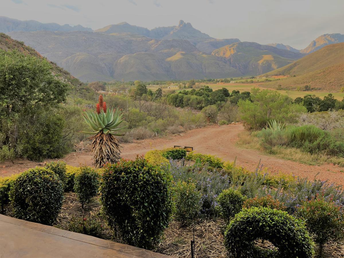 Oaksrest Vineyards Guest Farm Hotel Ladismith Buitenkant foto