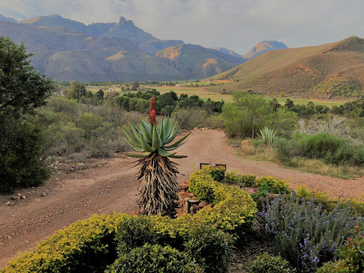 Oaksrest Vineyards Guest Farm Hotel Ladismith Buitenkant foto