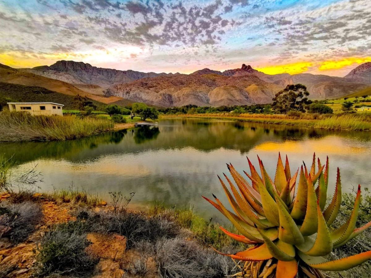 Oaksrest Vineyards Guest Farm Hotel Ladismith Buitenkant foto